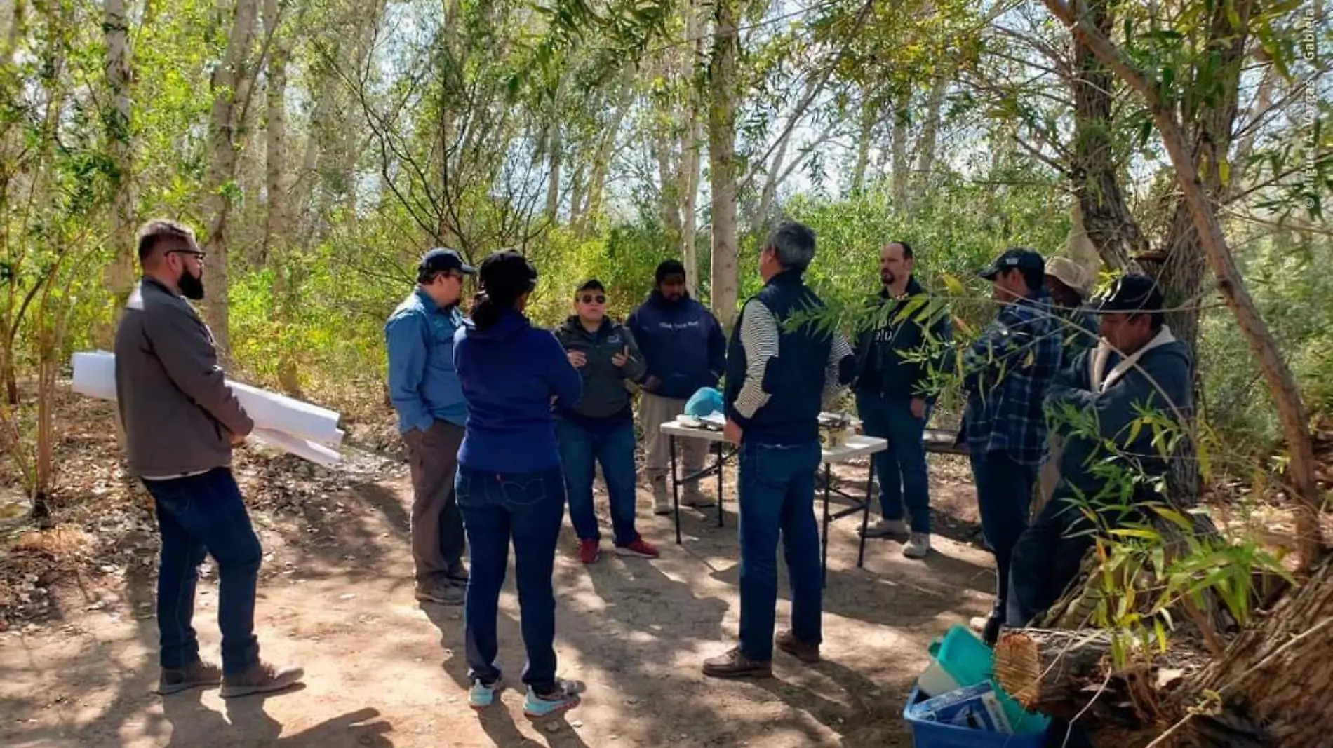 En el sitio Miguel Alemán existen un bosque de 122,000 plantas nativas que sirve de hábitat a más de 122 especies de aves